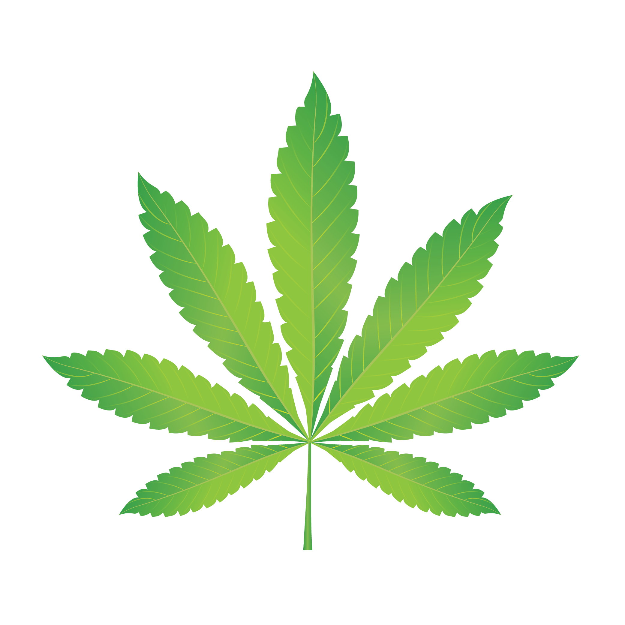 —Pngtree—green marijuana_3715749.png