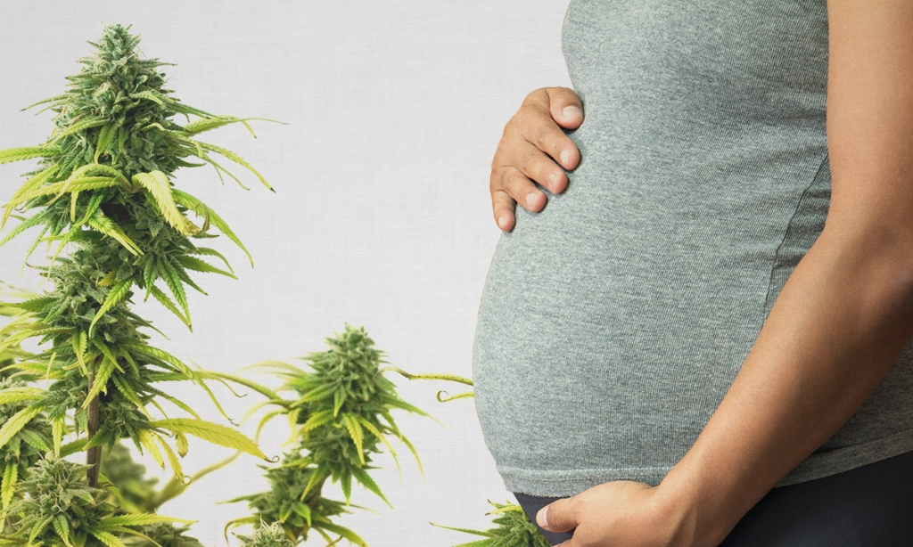 курение марихуаны при беременности форум
