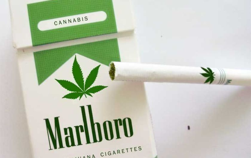 Чем табак хуже марихуаны легально ли заказывать семена конопляные