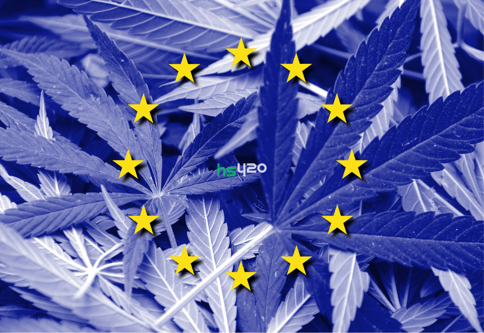 Евросоюз марихуана марихуана часть 2
